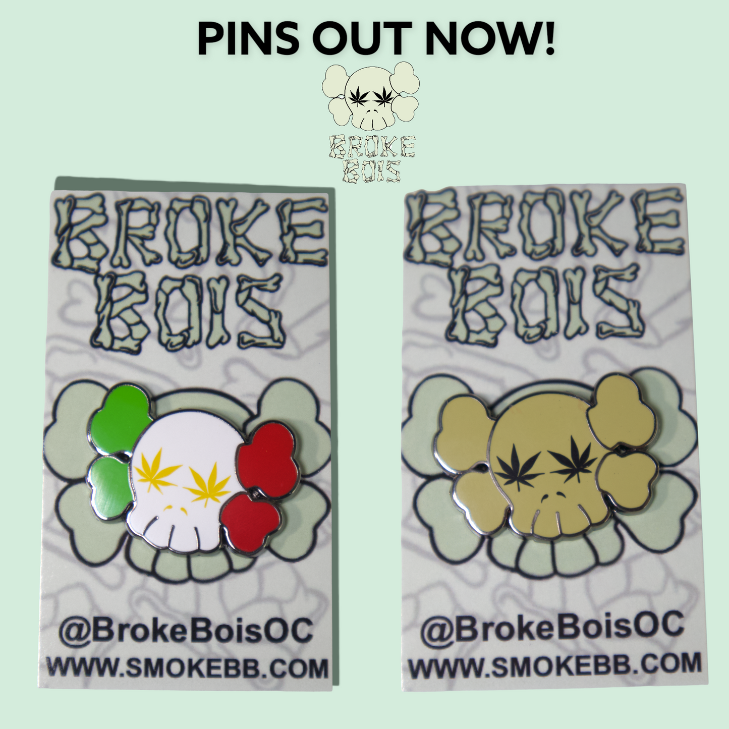 Stoned to the Dome Pins